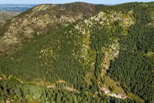 10230 S Deer Creek Rd, Littleton, CO 80127 - Photo 37