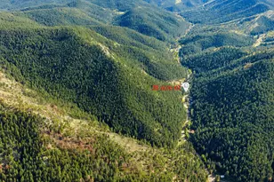 10230 S Deer Creek Rd, Littleton, CO 80127 - Photo 39