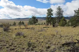 206 Bandolier Ct, Hartsel, CO 80449 - Photo 1