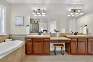 10126 RidgeGate Circle, Lone Tree, CO 80124 - Photo 19