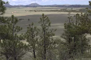 1209 Linecamp Dr, Livermore, CO 80536 - Photo 27