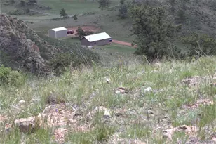 1209 Linecamp Dr, Livermore, CO 80536 - Photo 29