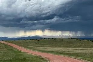 1209 Linecamp Dr, Livermore, CO 80536 - Photo 3