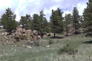 1209 Linecamp Dr, Livermore, CO 80536 - Photo 35