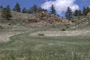 1209 Linecamp Dr, Livermore, CO 80536 - Photo 39