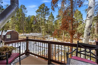 28456 Squirrel Lane, Conifer, CO 80433 - Photo 19