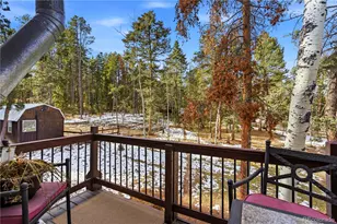 28456 Squirrel Ln, Conifer, CO 80433 - Photo 19