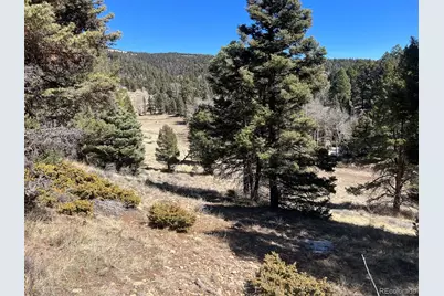 3140 Schierl Road, Fort Garland, CO 81133 - Photo 41