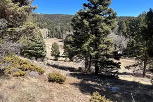 3140 Schierl Rd, Fort Garland, CO 81133 - Photo 41