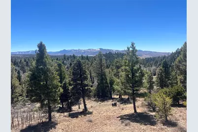 3140 Schierl Road, Fort Garland, CO 81133 - Photo 5