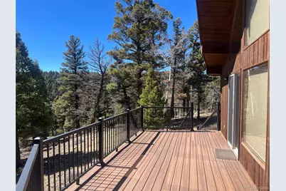 3140 Schierl Road, Fort Garland, CO 81133 - Photo 39