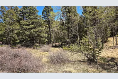 Lots 5817 & 5818 Balleroy & Covington Road, Fort Garland, CO 81133 - Photo 5