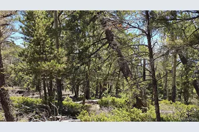 Lots 5817 & 5818 Balleroy & Covington Road, Fort Garland, CO 81133 - Photo 7
