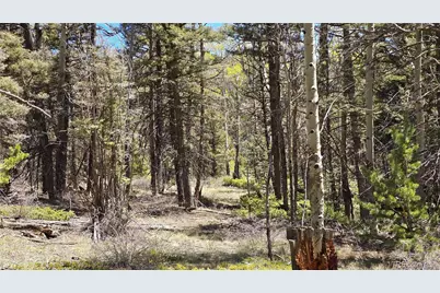Lots 5817 & 5818 Balleroy & Covington Road, Fort Garland, CO 81133 - Photo 17
