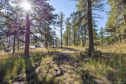 3942 S Palo Verde Road, Evergreen, CO 80439 - Photo 13