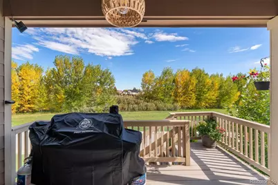 244 Mt Harvard Avenue, Severance, CO 80550 - Photo 37