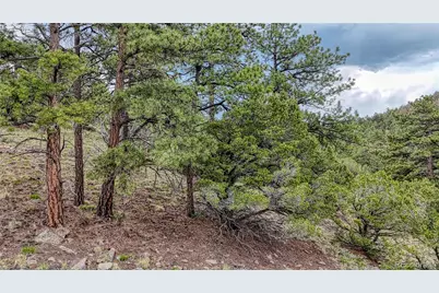 44 Honeysuckle Terrace, Westcliffe, CO 81252 - Photo 43