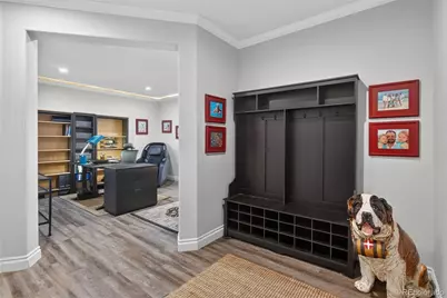 9257 Kornbrust Drive, Lone Tree, CO 80124 - Photo 25