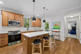2844 Havana St, Denver, CO 80238 - Photo 9