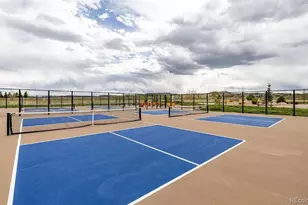 7408 Greenwater Cir, Castle Rock, CO 80108 - Photo 43