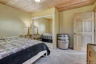 1243 Platte River Dr, Alma, CO 80440 - Photo 43