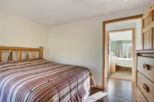 1243 Platte River Dr, Alma, CO 80440 - Photo 33