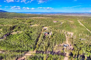 1243 Platte River Dr, Alma, CO 80440 - Photo 47