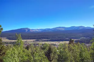 1243 Platte River Dr, Alma, CO 80440 - Photo 31