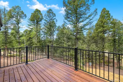 15 Juniper Circle, Florissant, CO 80816 - Photo 11