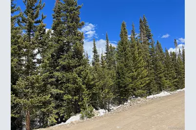 134 El Lobo Lane, Fairplay, CO 80440 - Photo 5