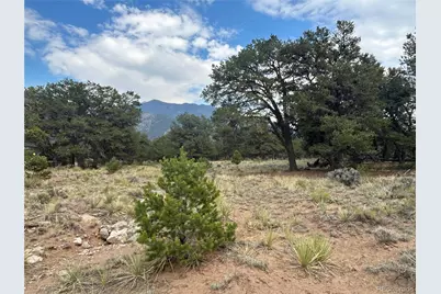 3530 Camino Del Rey, Crestone, CO 81131 - Photo 5