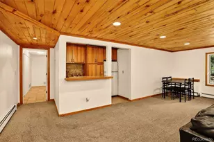 2218 Witter Gulch Rd, Evergreen, CO 80439 - Photo 35