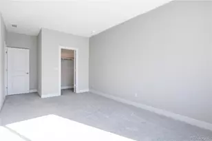 199 Simmental Loop, Castle Rock, CO 80104 - Photo 17