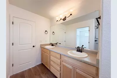 1726 Thrive Drive, Windsor, CO 80550 - Photo 21