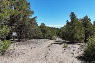 Cedar Ridge Tract 3, Salida, CO 81201 - Photo 1