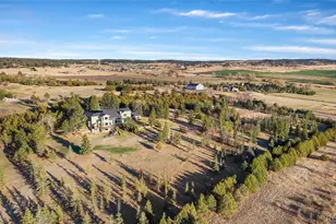 3525 Palmer Ridge Dr, Parker, CO 80134 - Photo 47