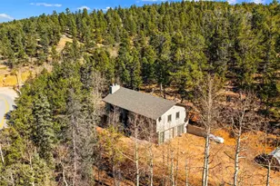 2558 Co Rd 28, Woodland Park, CO 80863 - Photo 29