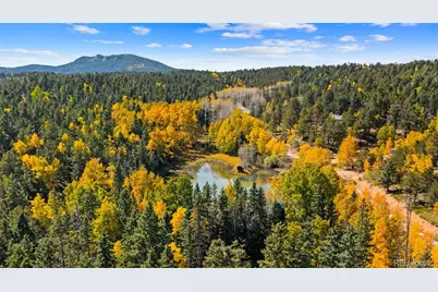 2558 Cr 28, Woodland Park, CO 80863 - Photo 35