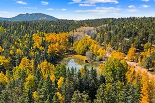 2558 Co Rd 28, Woodland Park, CO 80863 - Photo 35