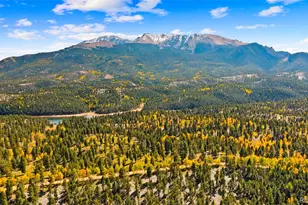 2558 Co Rd 28, Woodland Park, CO 80863 - Photo 37