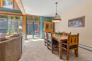 206 Alpen Rose Pl, Dillon, CO 80435 - Photo 19