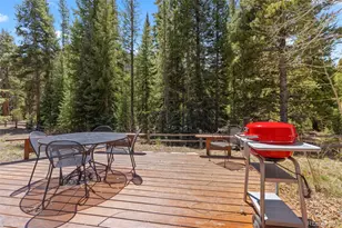 206 Alpen Rose Pl, Dillon, CO 80435 - Photo 39