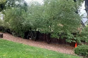 12617 W 6th Pl, Lakewood, CO 80401 - Photo 15