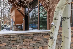 965 N 10 Mile Dr, Frisco, CO 80443 - Photo 7