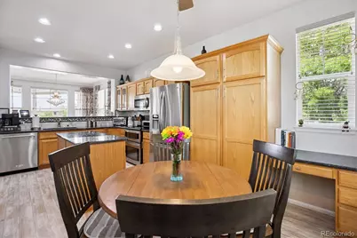 10754 Towerbridge Circle, Highlands Ranch, CO 80130 - Photo 11