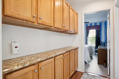 10754 Towerbridge Circle, Highlands Ranch, CO 80130 - Photo 23