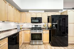 225 N Lincoln Street, Denver, CO 80203 - Photo 5
