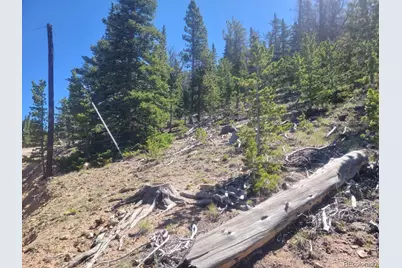 Mine Road, Idaho Springs, CO 80444 - Photo 3