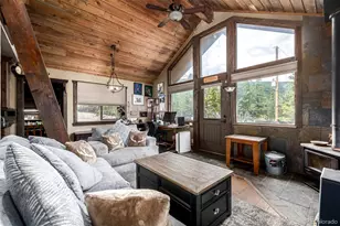 318 Upper Forest Rd, Idaho Springs, CO 80452 - Photo 3