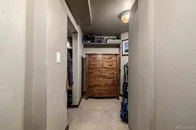318 Upper Forest Road, Idaho Springs, CO 80452 - Photo 11